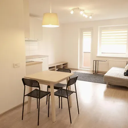 Cozy With Balcony Apartment *